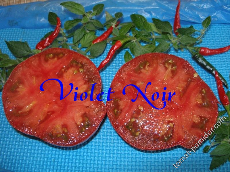 Violet Noir - V, W — сорта томатов - tomat-pomidor.com - отзывы на форуме