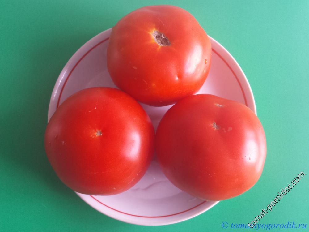 Агата - А — сорта томатов - tomat-pomidor.com - отзывы на форуме