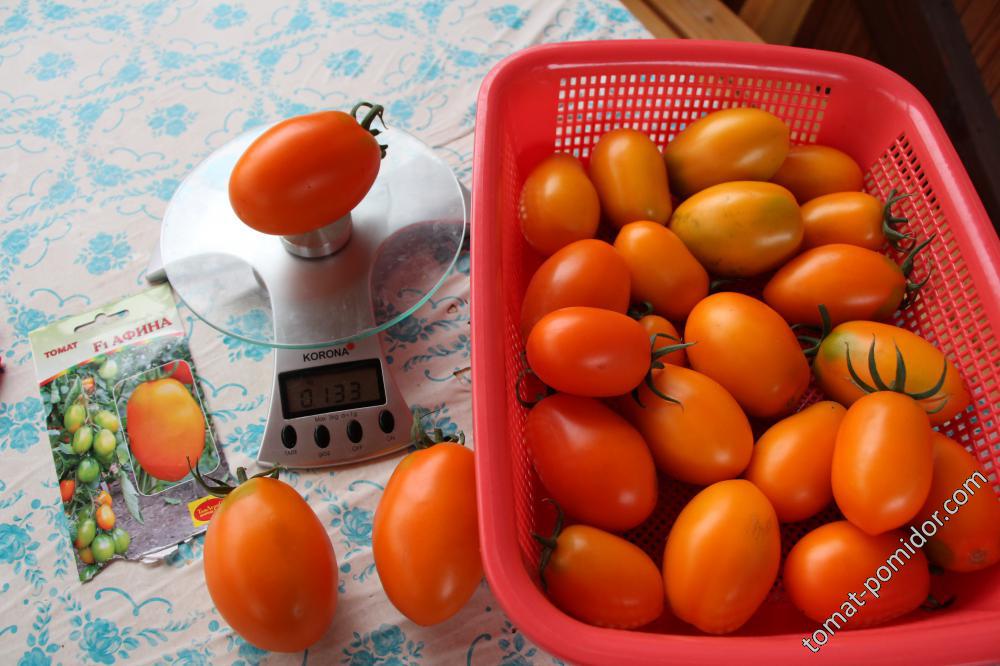 Афина F1 - А — сорта томатов - tomat-pomidor.com - отзывы на форуме