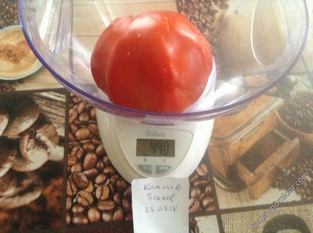 Космонавт Волков - К — сорта томатов - tomat-pomidor.com - отзывы на форуме