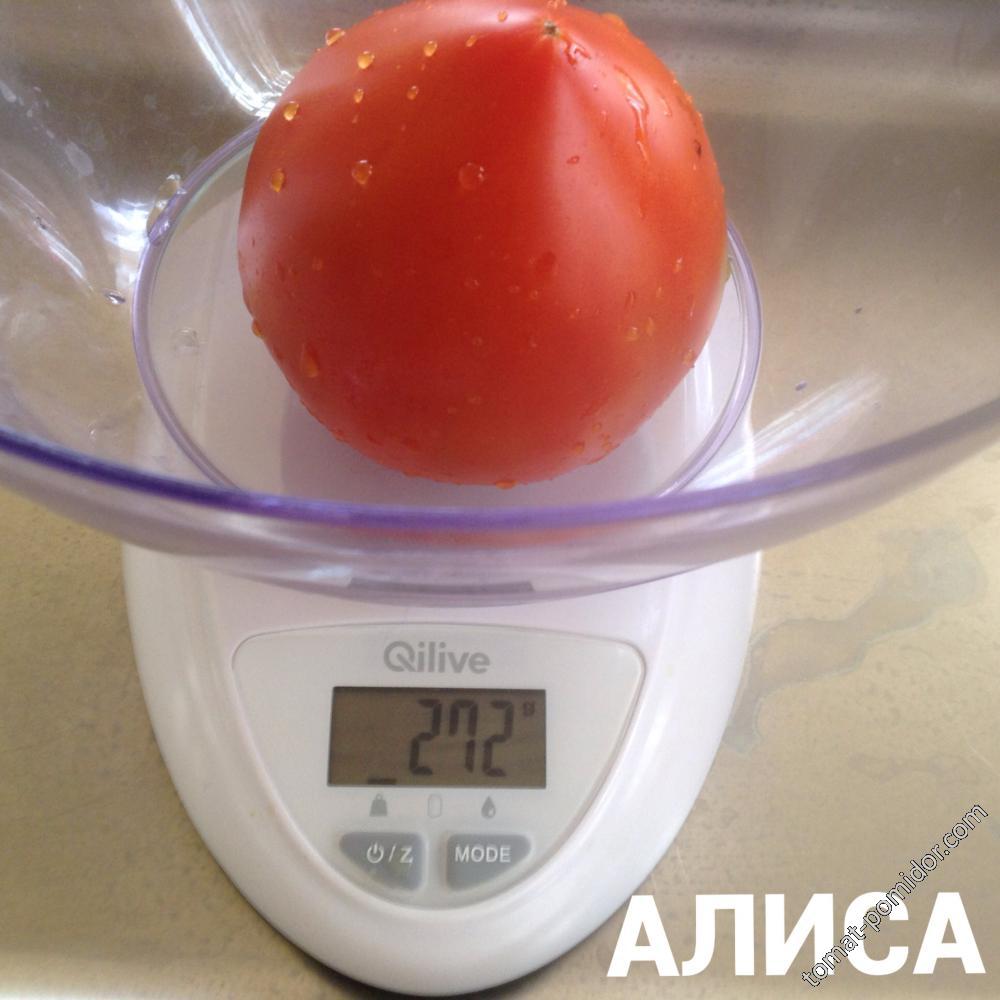 Алиса - А — сорта томатов - tomat-pomidor.com - отзывы на форуме