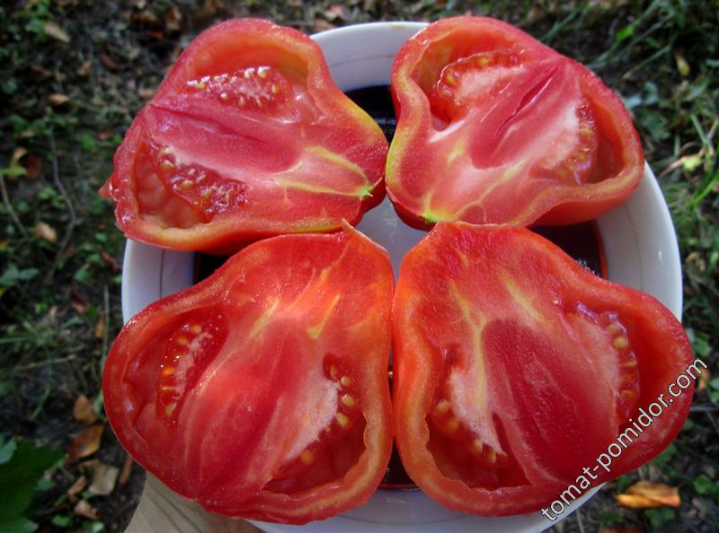 Тлаколула (Tlacolula) - Т �� сорта томатов - tomat-pomidor.com - отзывы нафоруме