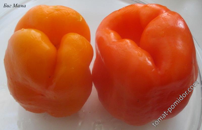 Биг Мама - Сорта СЛАДКОГО перца с фото - tomat-pomidor.com - форум