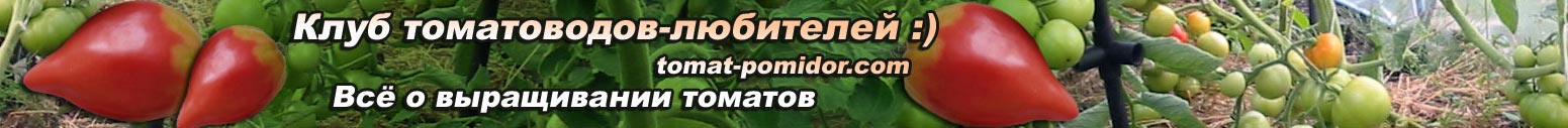 Клуб томатоводов форум огород дача Клуб томатоводов форум огород дача