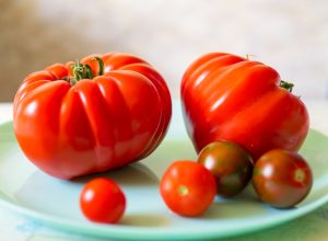 Heirloom vs. Hybrid Tomatoes