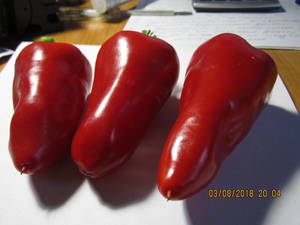 065.thumb.JPG.120585be53551a099f06f9d9de3eadd0.JPG