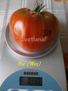 1515-09-1.JPG