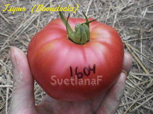 1604-09-1.JPG