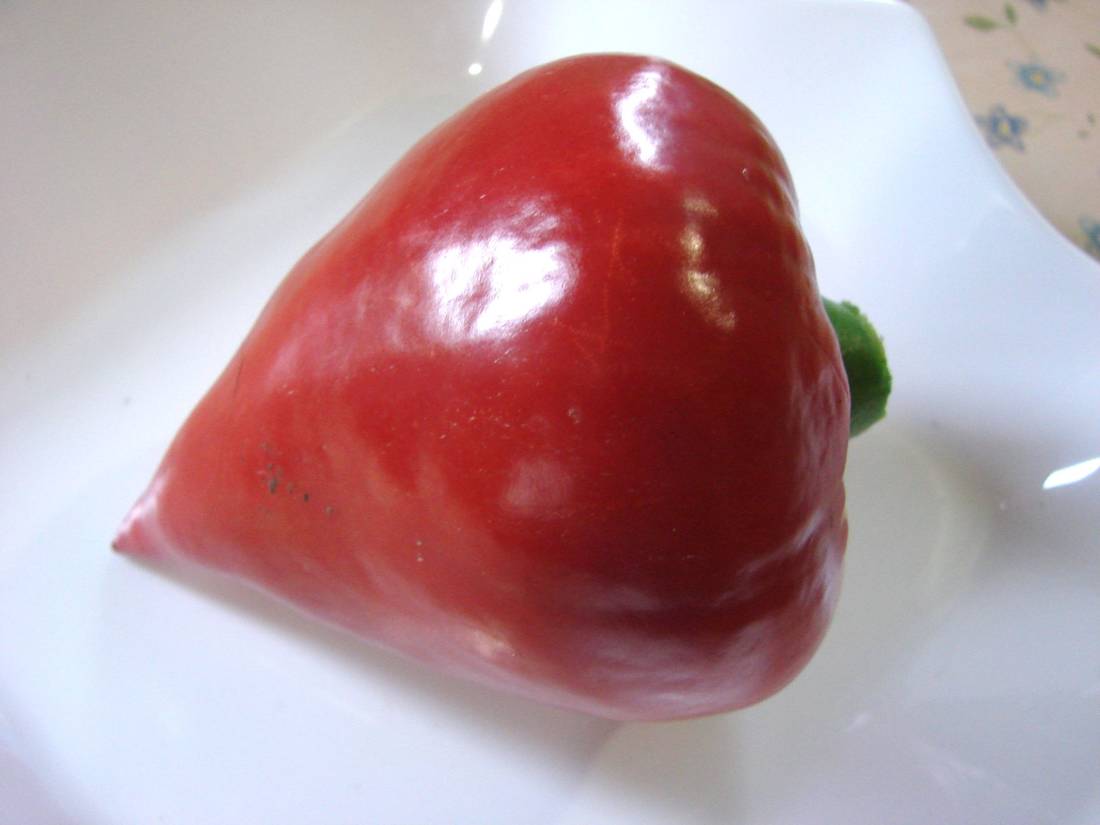 Леся - Сорта СЛАДКОГО перца с фото - tomat-pomidor.com - форум