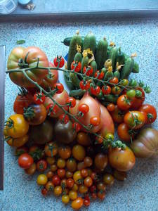 DSCN5770.JPG