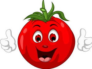 cute-tomato-cartoon-character-giving-thumbs-up-vector-2297231.jpg