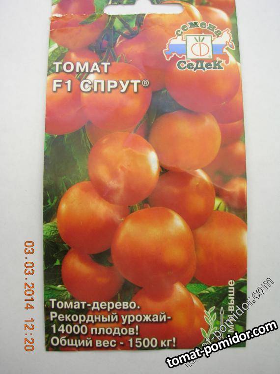 F1 Спрут