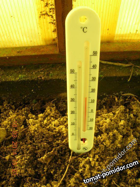 10.03.14 В теплице +15, грунт +7