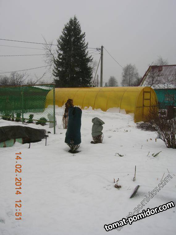 Зима. Теплица 2