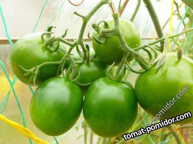 кумато