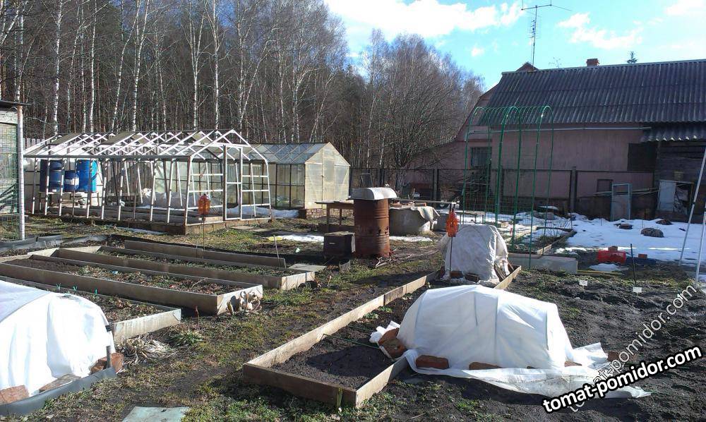 Дача 11.03.14
