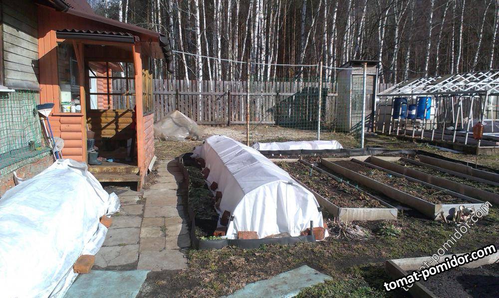 Дача 11.03.14