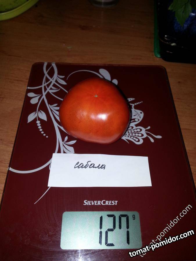Мой первенец!!! Сабала
