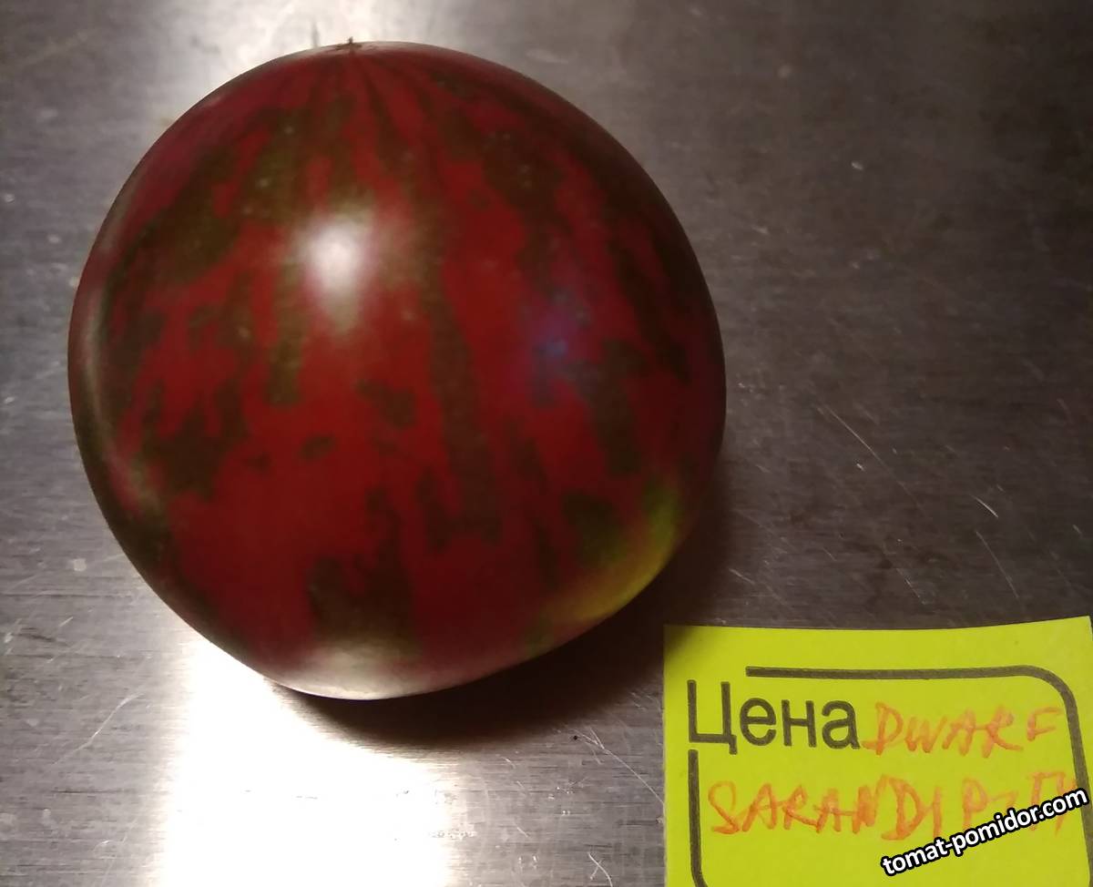 томат гном описание сорта фото отзывы