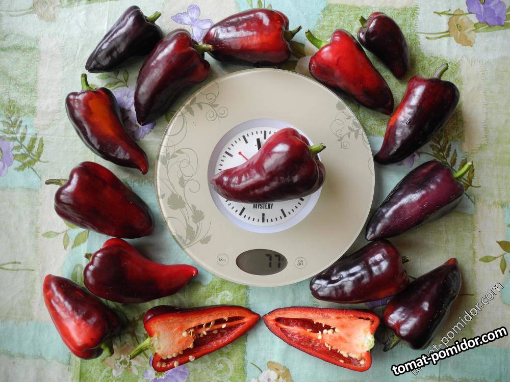 Цыганский барон