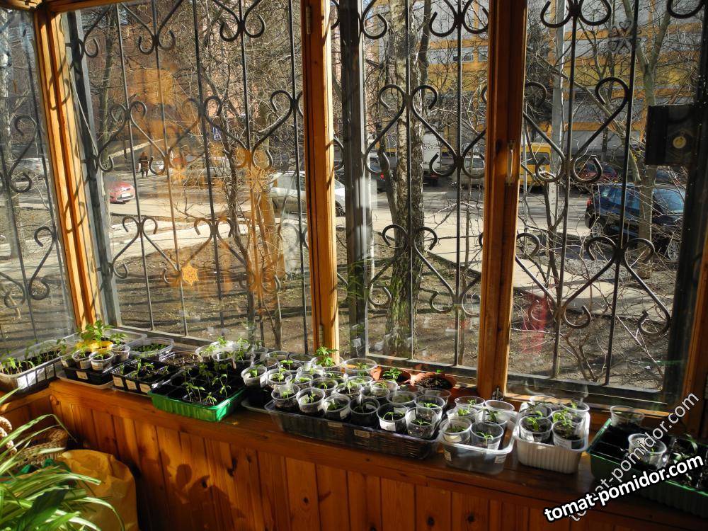 10 марта 2014г, на улице +9, на балконе +20 в тени