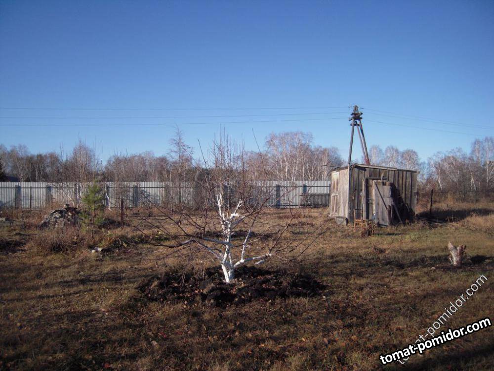 Грушовка