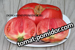 томаты 2018