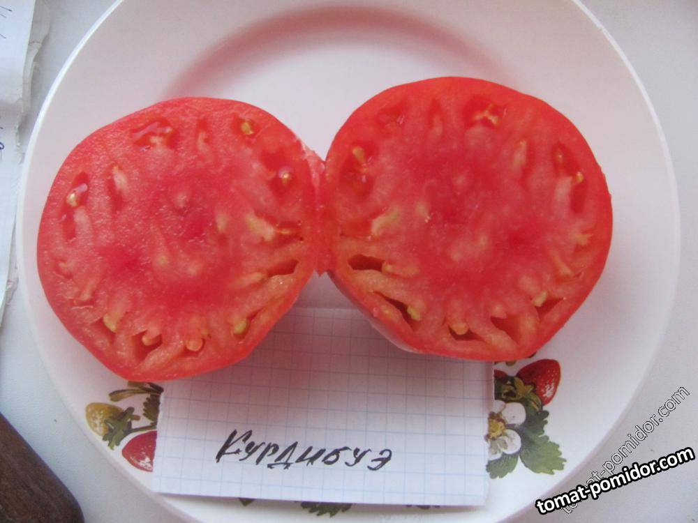 кур в разрезе