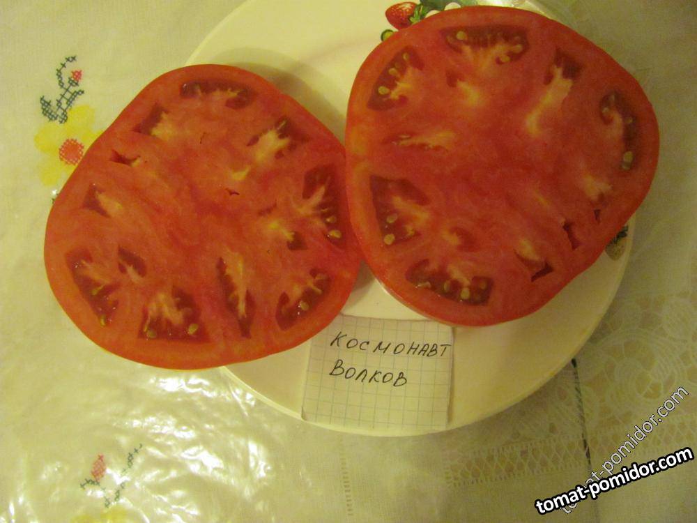 космонавт Волков