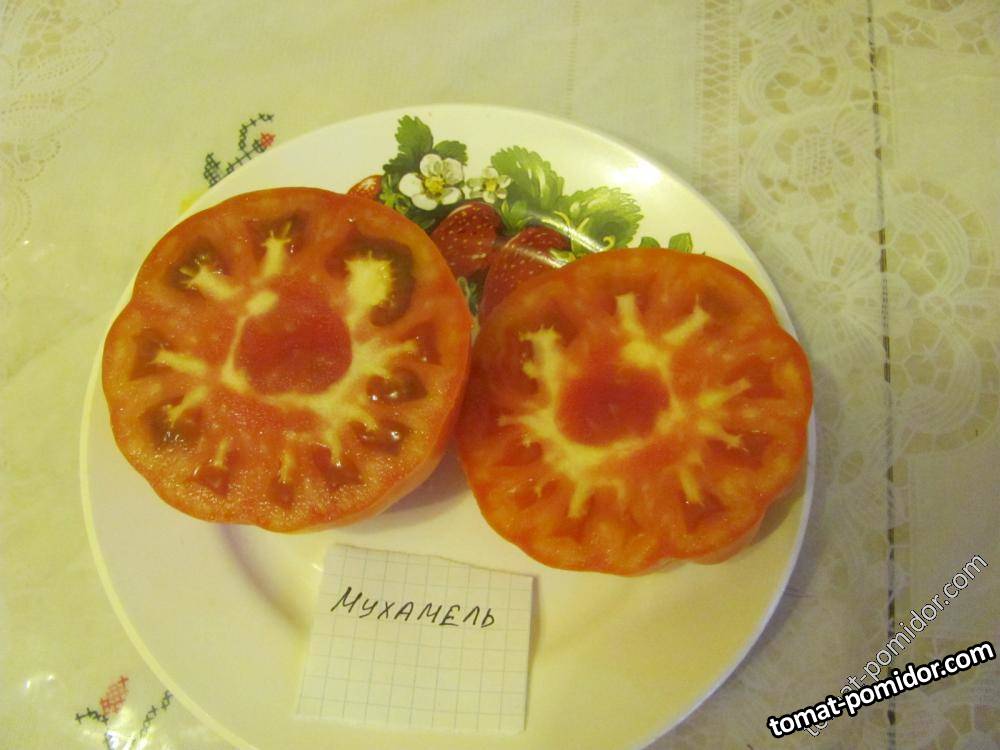 мухамель