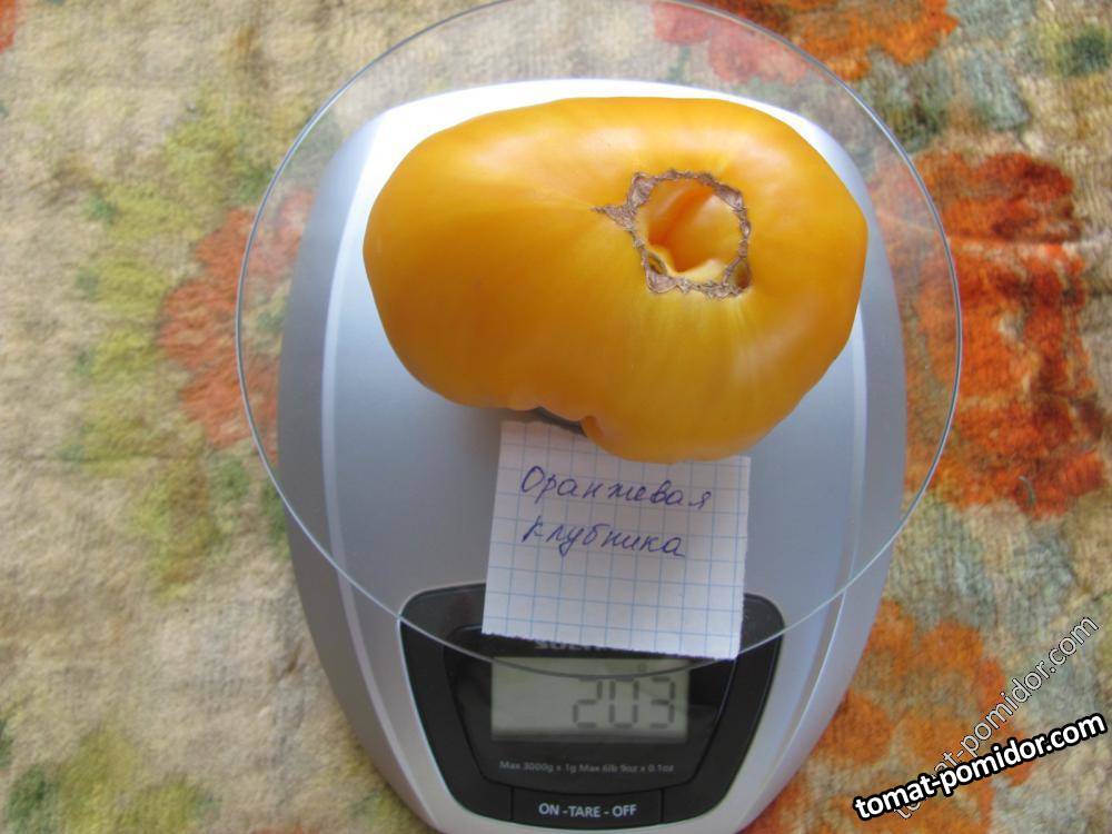 Оранжевая клубника
