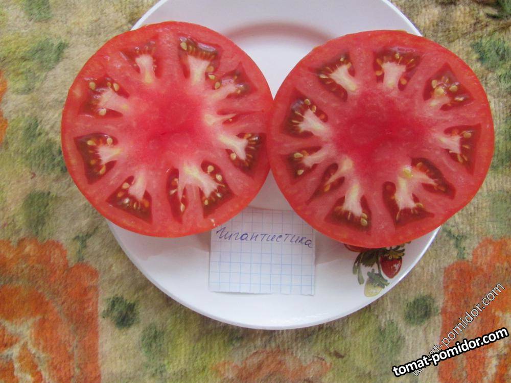 Гигантистика
