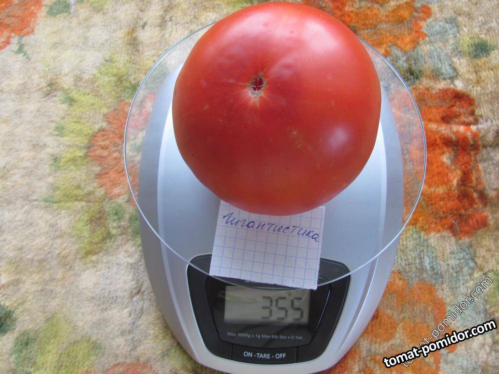 Гигантистика