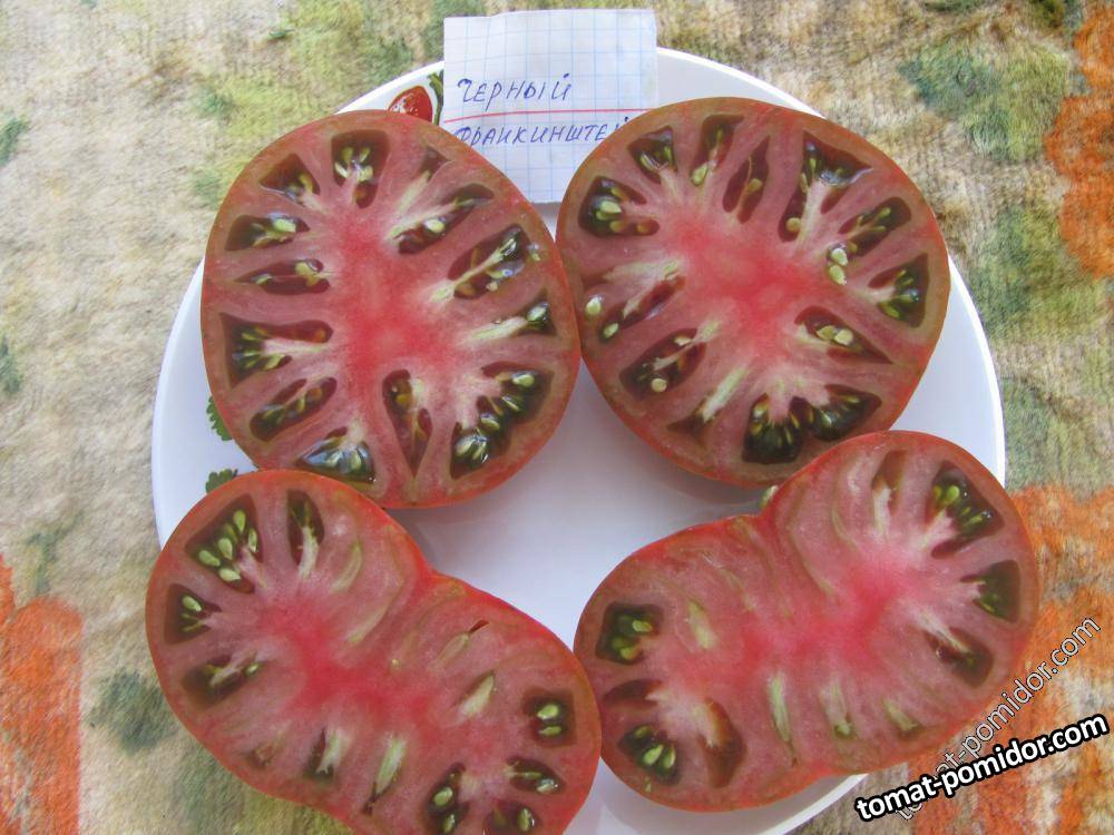 черный Франкинштейн