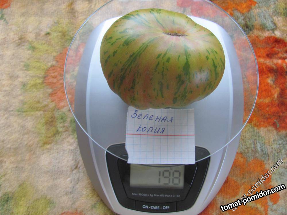зеленая копия