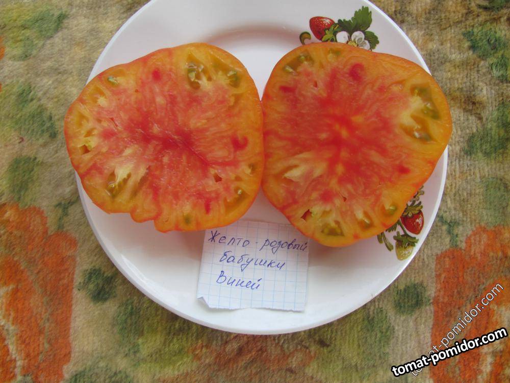 желто-розовый бабушки Виней