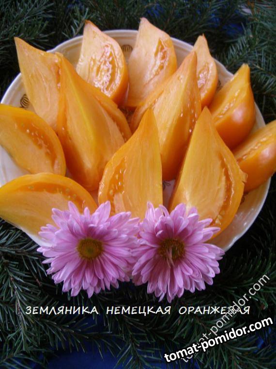 &quot;Земляника немецкая оранж.&quot; в нарезке