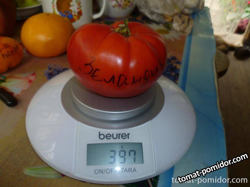 Зеландия
