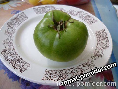 тетя Руби