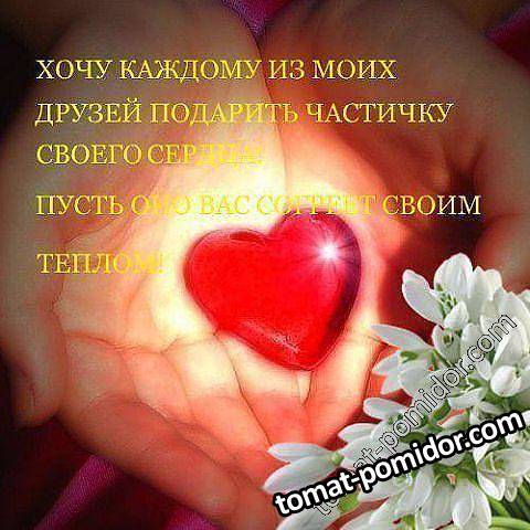 Вам