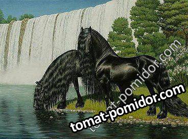 !