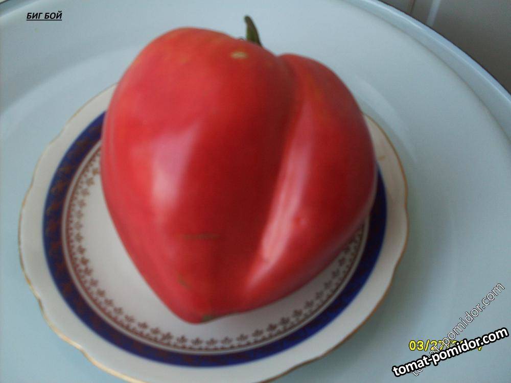 БИГ БОЙ