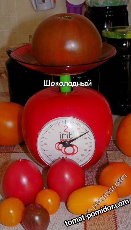 Ш