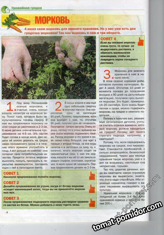 стр3