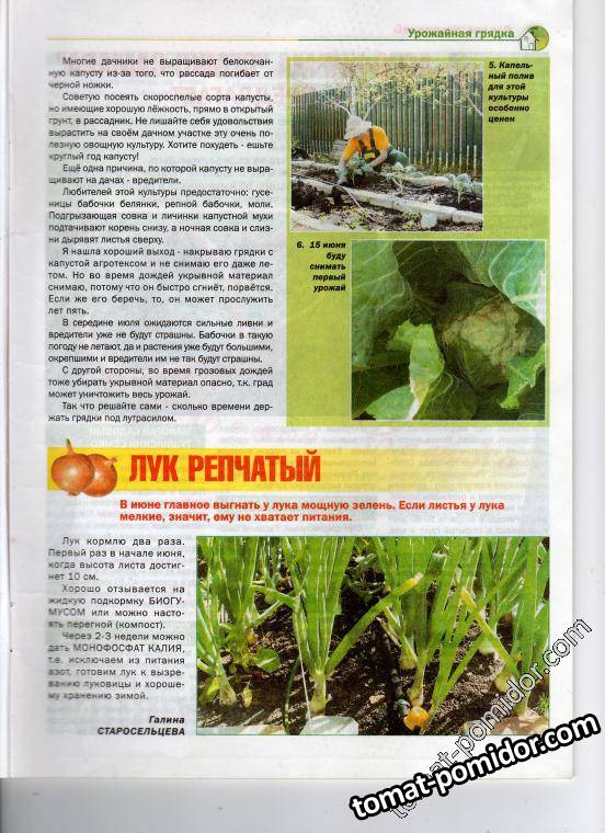 стр 10