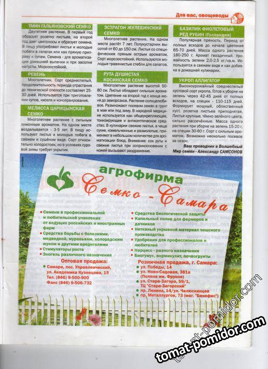 стр 12