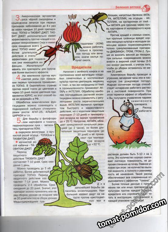 стр 25