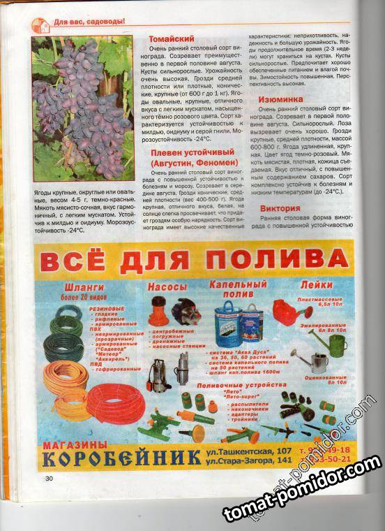 стр 28