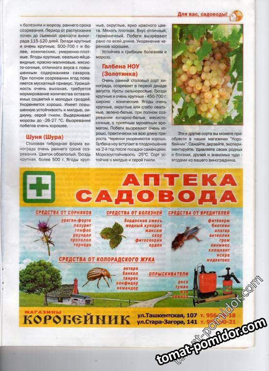стр 29