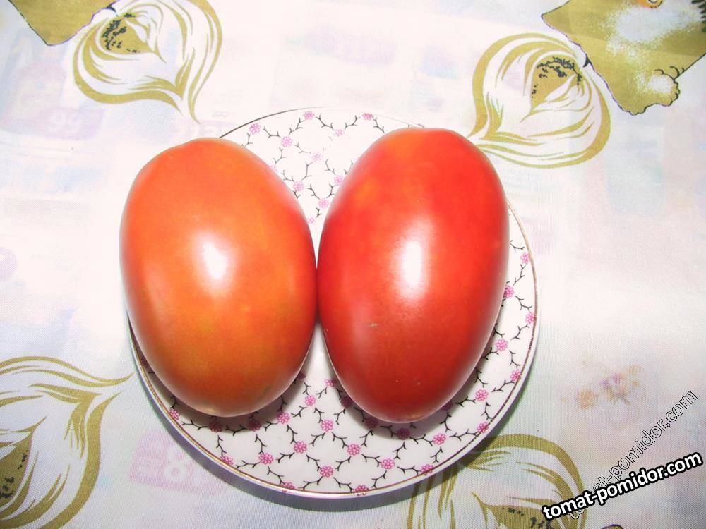 Колокольчик